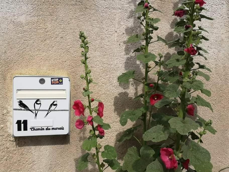 شقة La Teranga Proche La Rochelle Nuaille-d'Aunis المظهر الخارجي الصورة